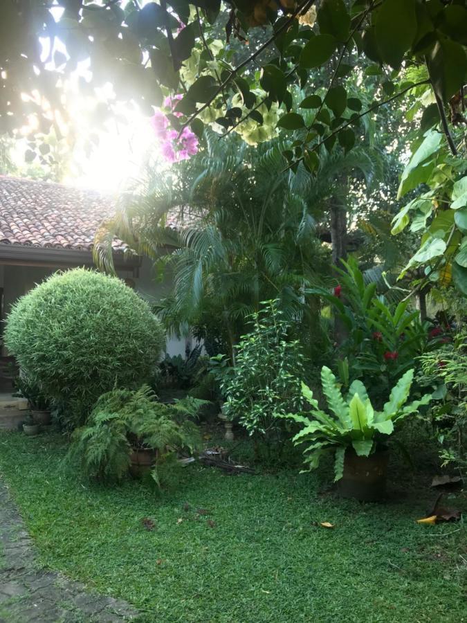 Tangalle Green House Экстерьер фото