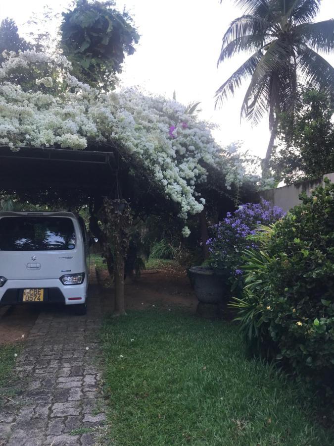 Tangalle Green House Экстерьер фото