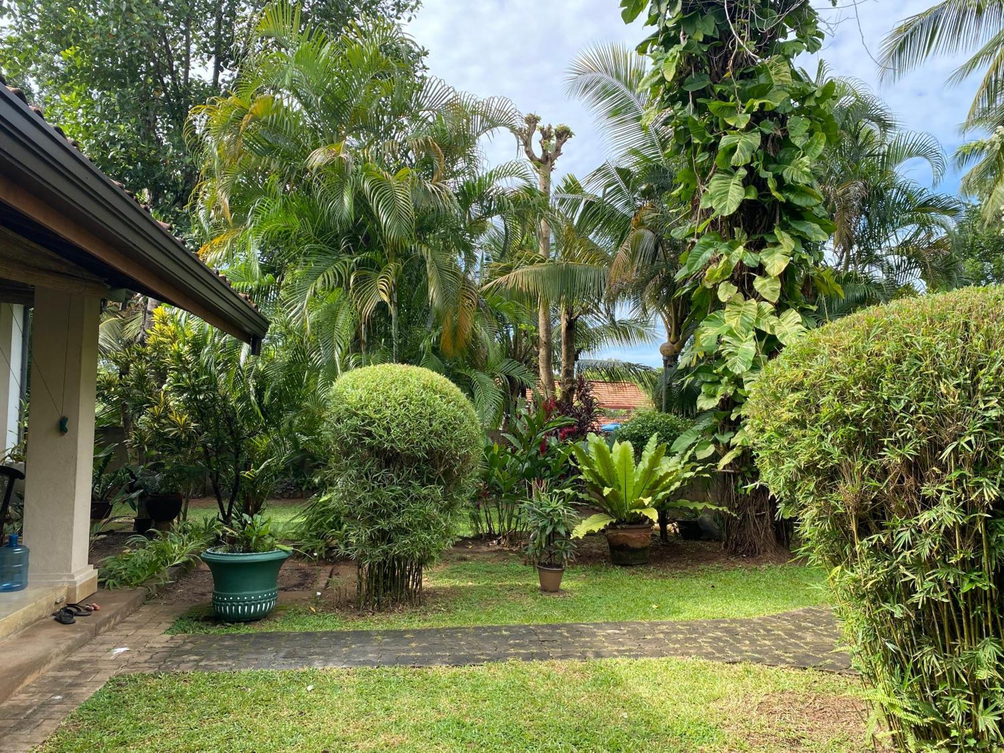 Tangalle Green House Экстерьер фото