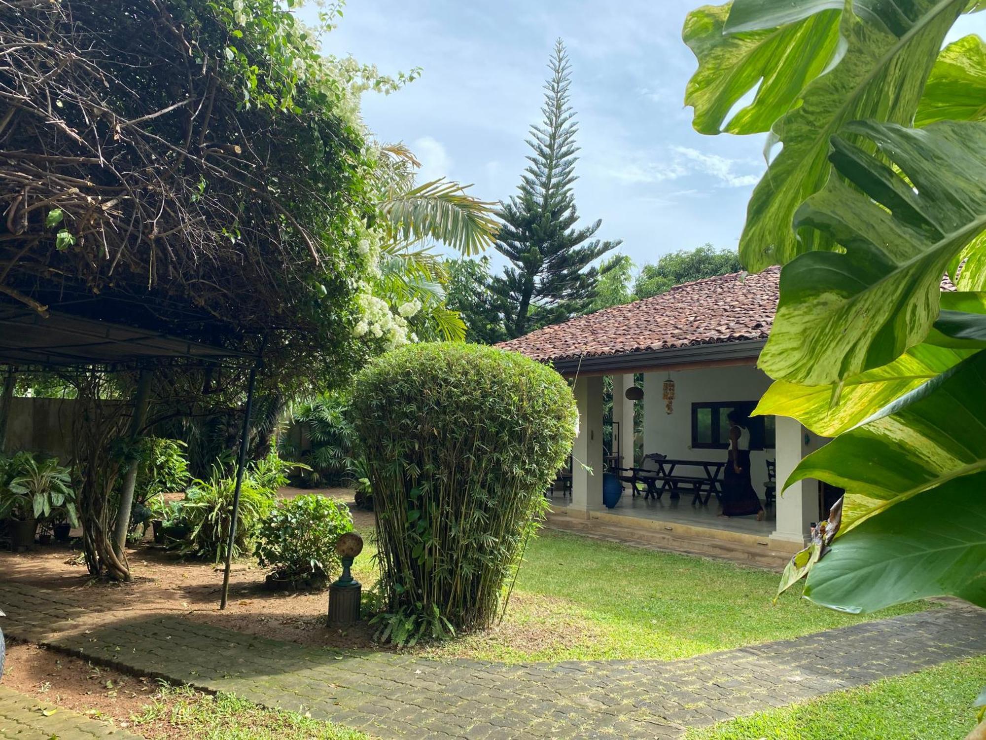 Tangalle Green House Экстерьер фото