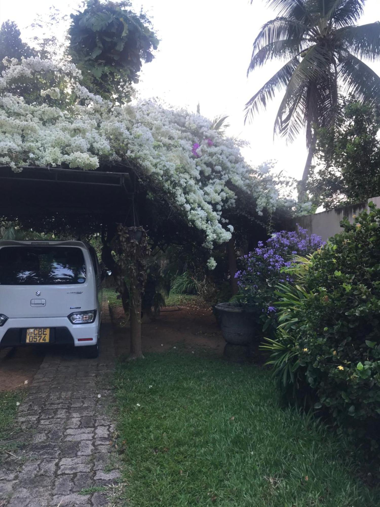 Tangalle Green House Экстерьер фото