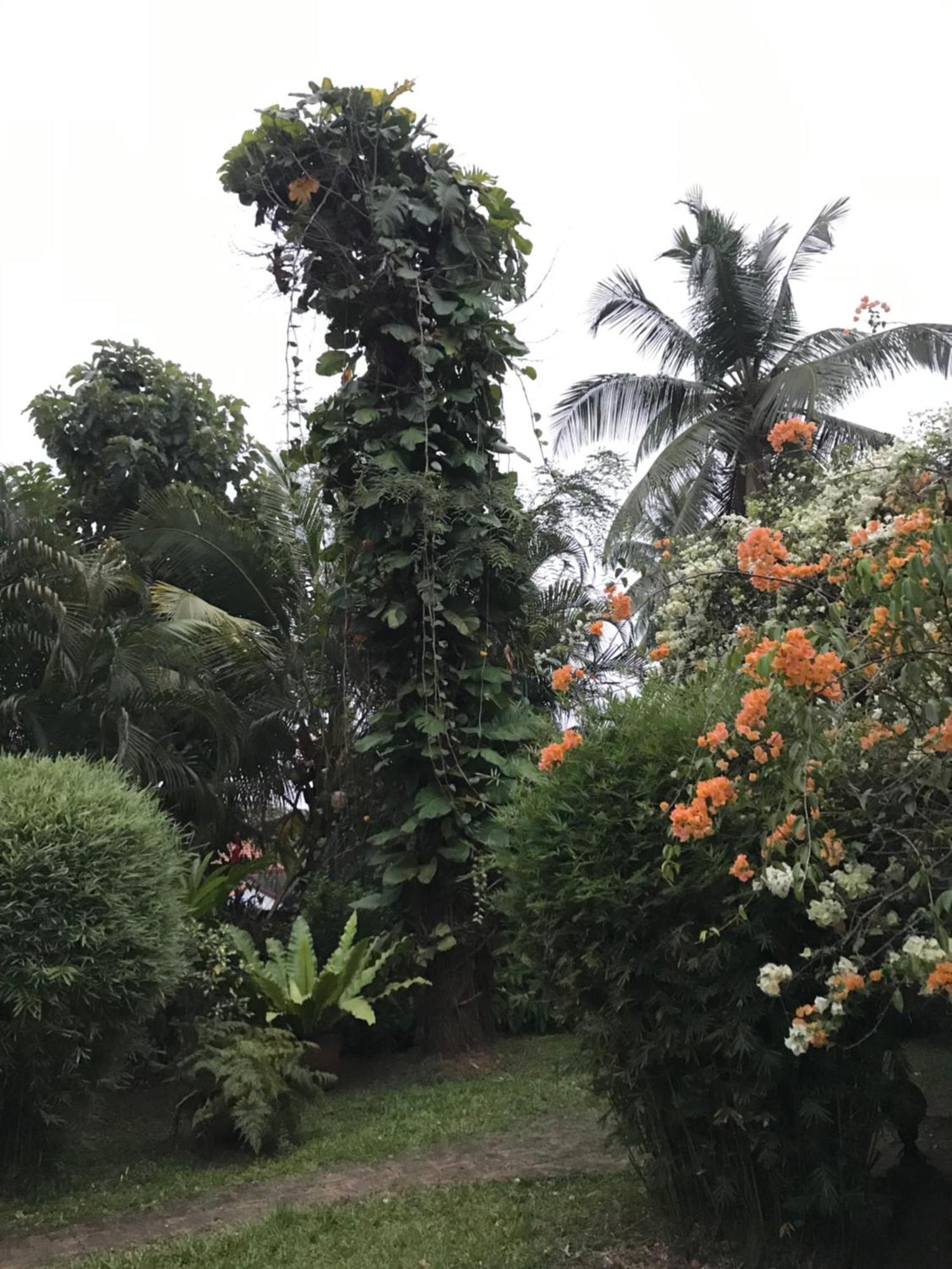 Tangalle Green House Экстерьер фото