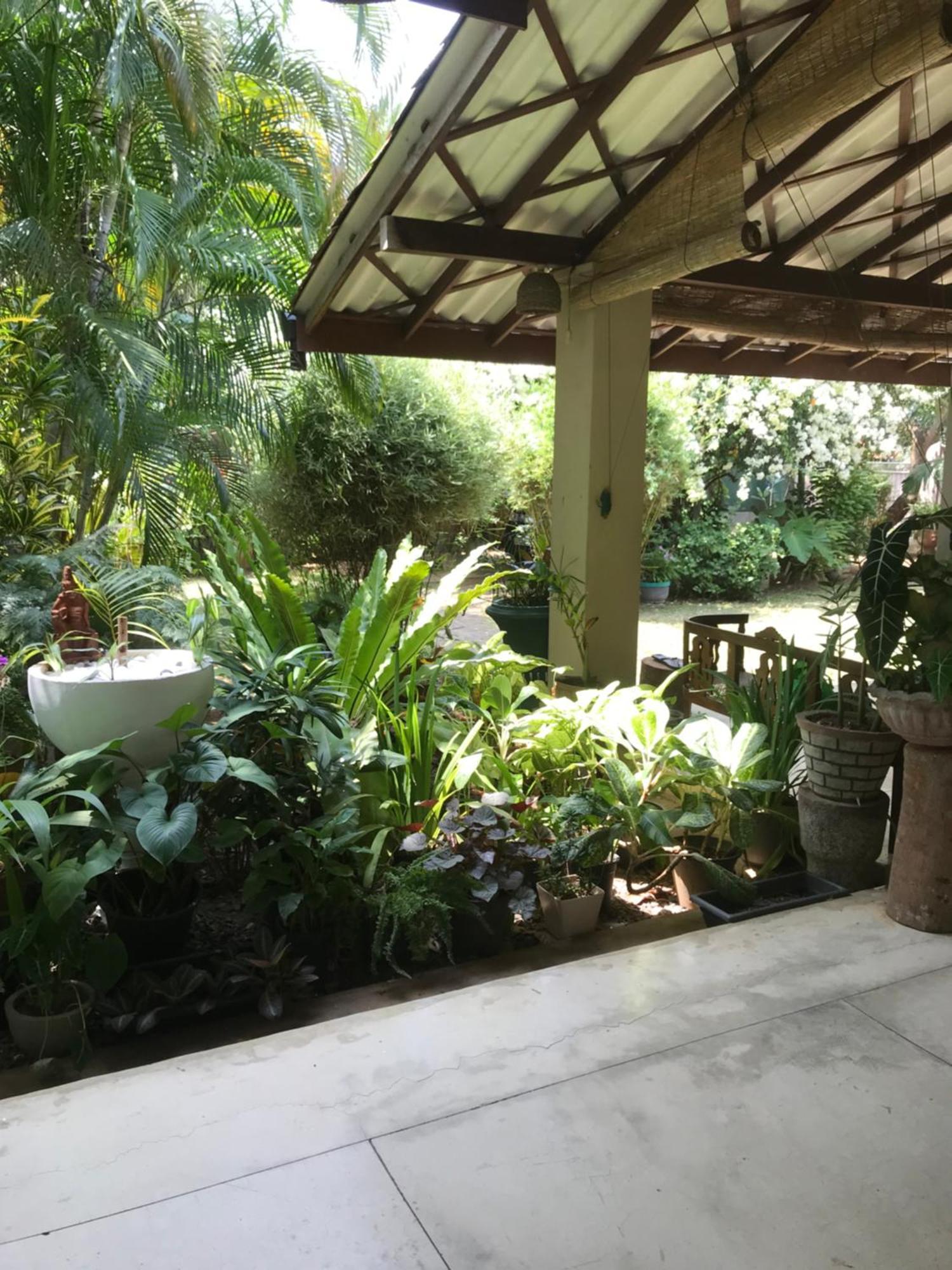 Tangalle Green House Экстерьер фото