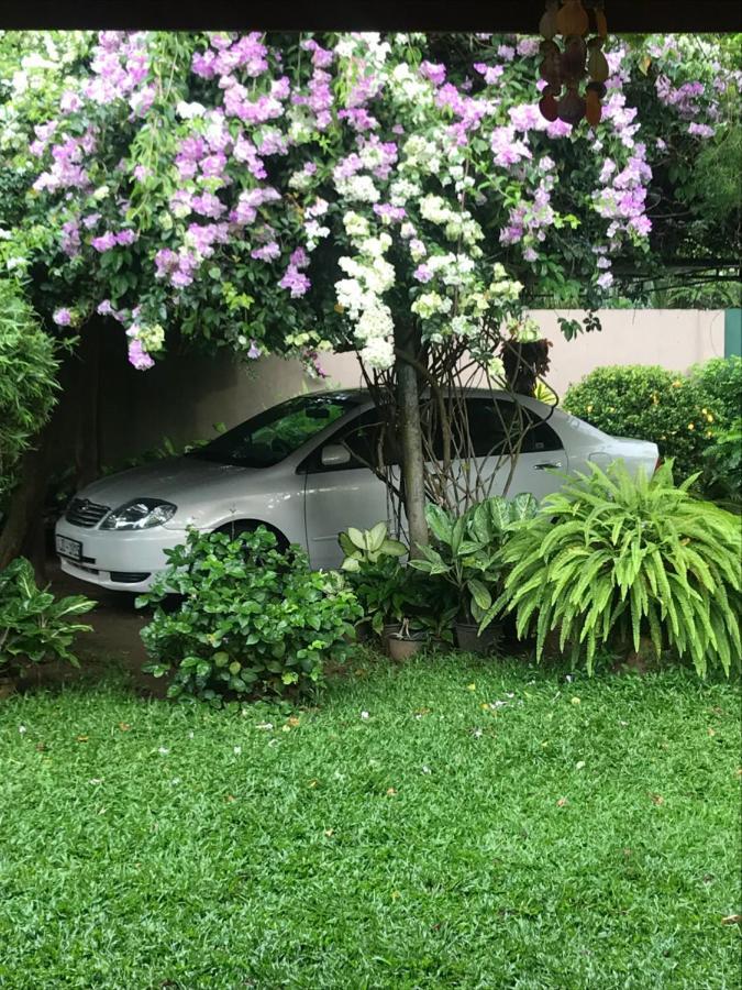 Tangalle Green House Экстерьер фото